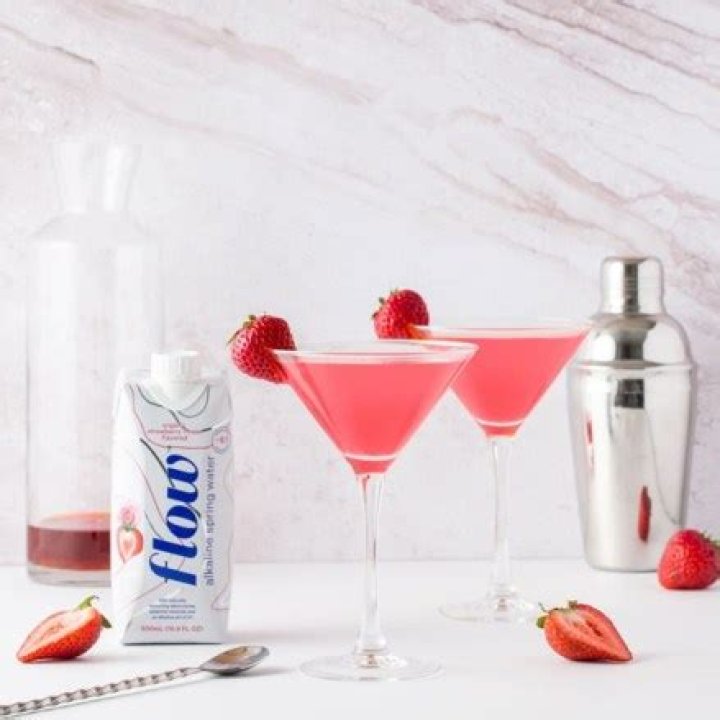 12 Cocktails To Celebrate MDW – Hollywood Life