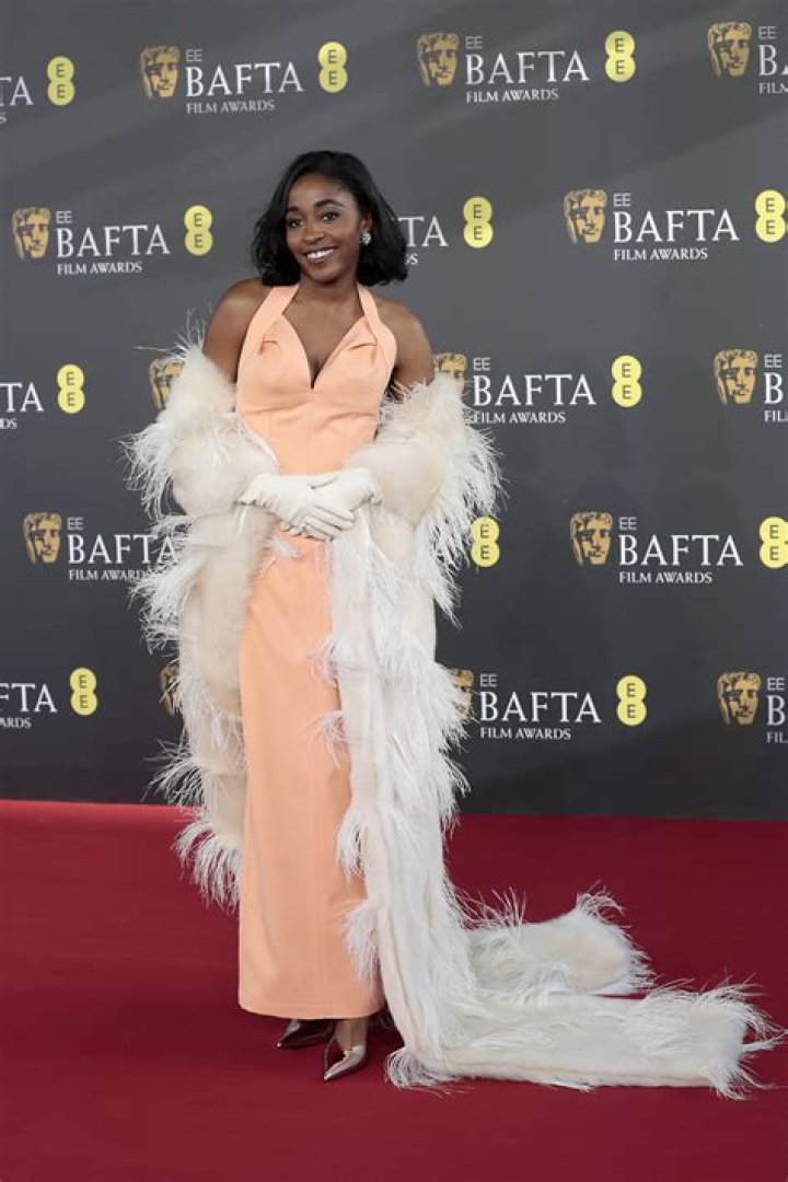 2014 BAFTA Awards Red Carpet
