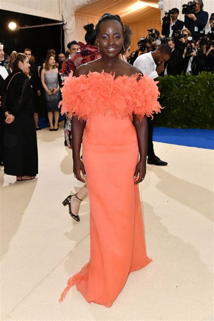2017 Met Ball’s Feathers Trend — Blake Lively, Sarah Paulson & More