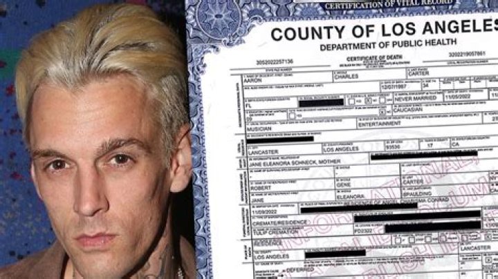 Aaron Carter Cremated According To Death Certificate – Hollywood Life