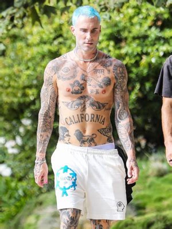 Adam Levine Goes Shirtless With Blue Hair — Before & After Photos – Hollywood Life
