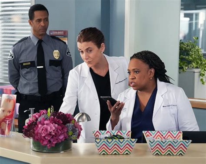 Addison Is Hit By A Car In Season 19 Episode 11 – Hollywood Life