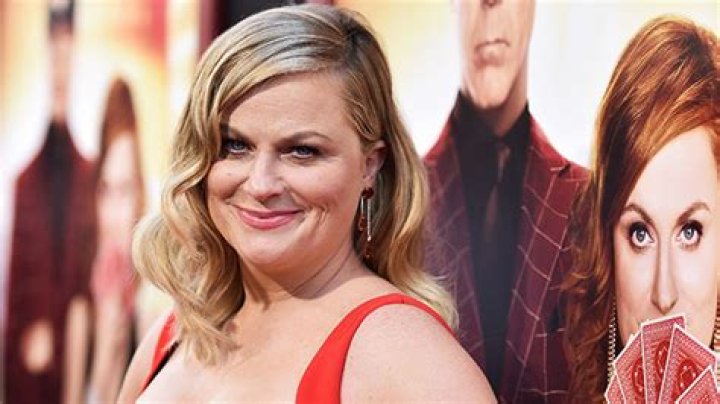 Amy Poehler Celebrity Profile – Hollywood Life
