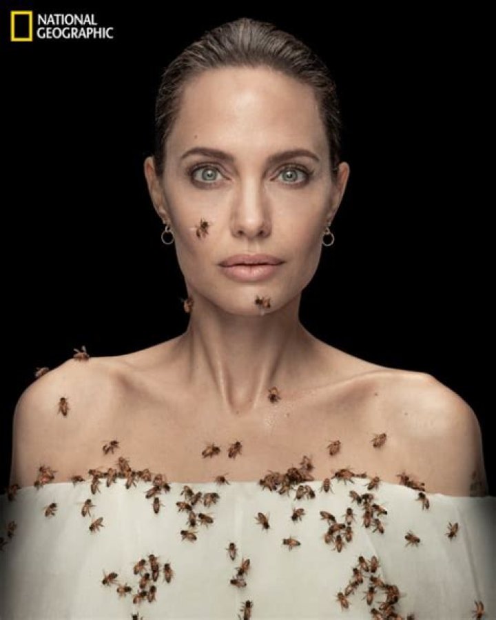 Angelina Jolie Gets Covered In Bees For Conservation Awareness — Watch – Hollywood Life