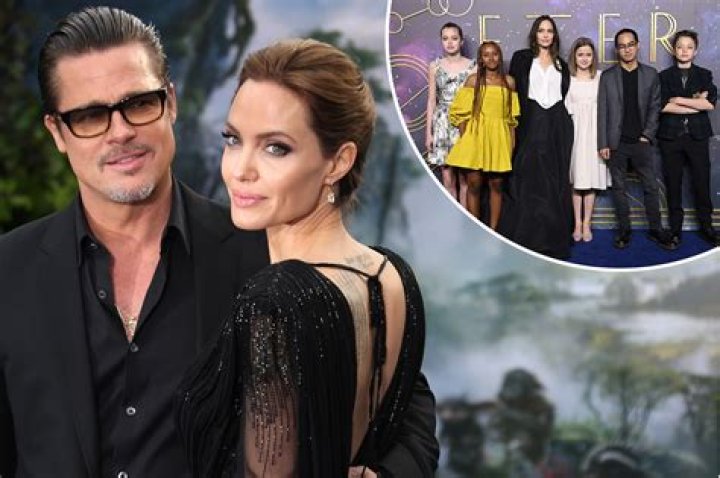 Angelina Jolie: Why It’s Unlikely She’ll Prevent Brad Pitt From Getting Joint Custody Of Their Kids