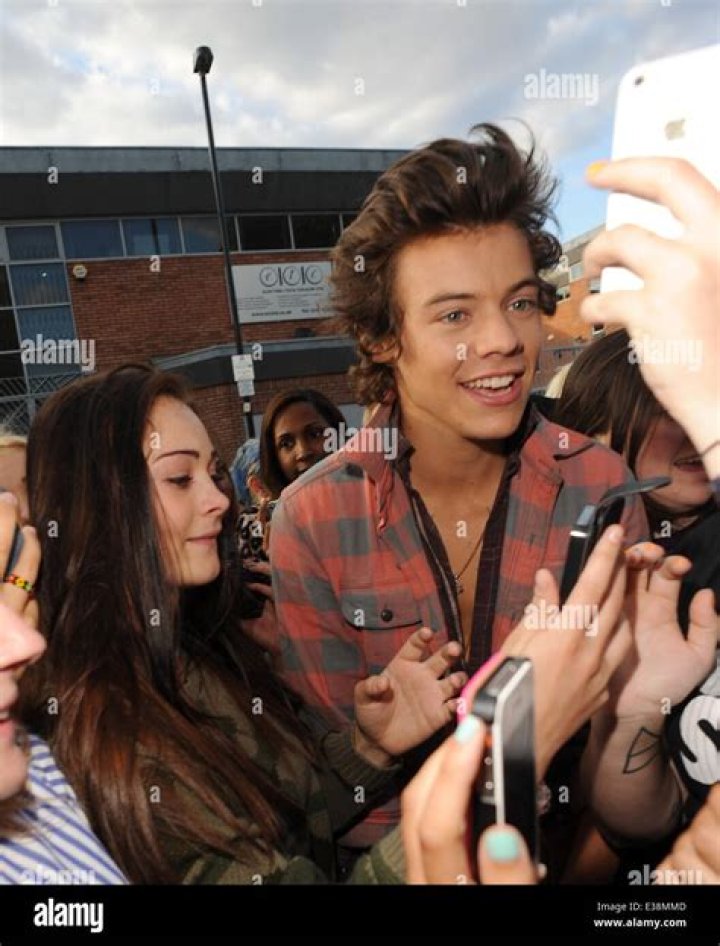 Ansel Elgort Drags A Harry Styles Fan On Twitter: ‘People Are Legitimately Crazy’