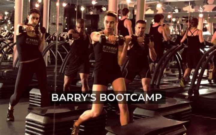 Barry’s Bootcamp Is Offering Free At-Home Workouts During Coronavirus – Hollywood Life