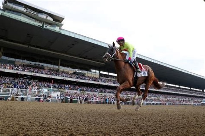 Belmont Stakes 2017 — PICS