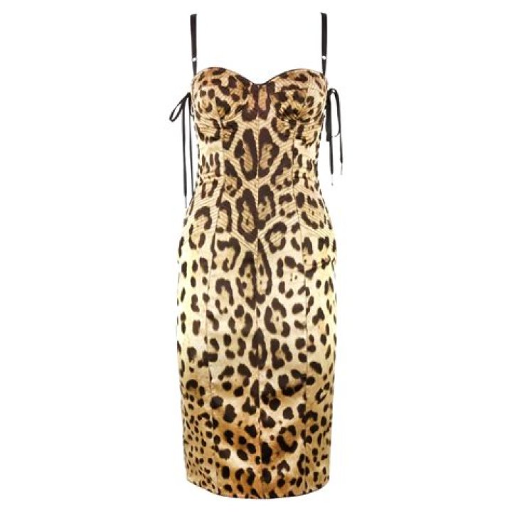 Beyonce Slays In Sexy, Plunging Leopard-Print Corset & Skirt — See Fierce New Photos 