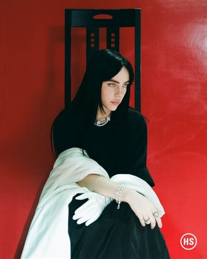 Billie Eilish Poses In Front Of Mirror For Gorgeous Instagram Video – Hollywood Life