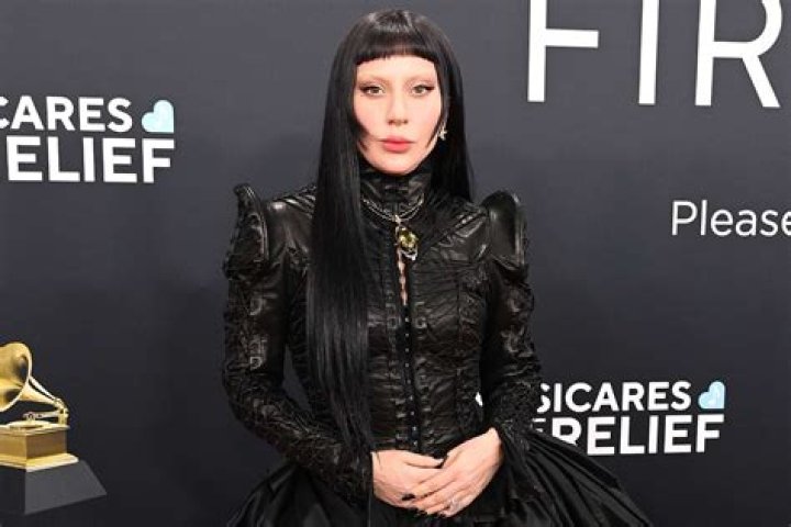 Billie Eilish’s Diss About Lady Gaga’s Meat Dress Defended By Fans – Hollywood Life