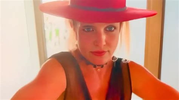 Britney Spears Dances in Crop Top and Thong in Wild New Video – Hollywood Life