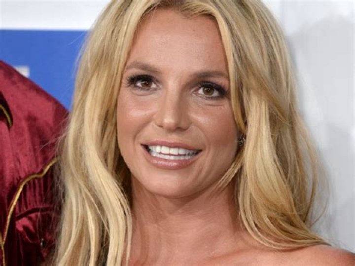 Britney Spears Dances On Stripper Pole In Leopard Bikini – Hollywood Life