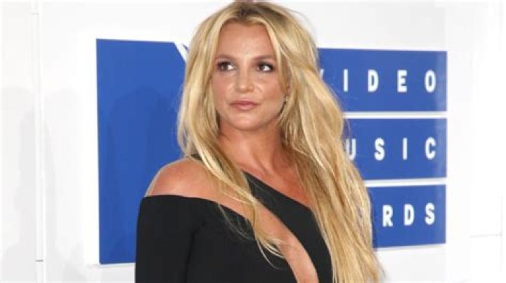 Britney Spears Gives 1st Sneak Peek Of Wedding Dress & Introduces New Kitten