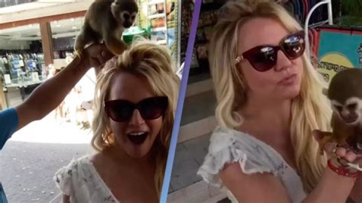 Britney Spears Plays With Monkey In Mexico: Watch – Hollywood Life