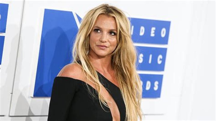 Britney Spears Says She Was Scared For VMAs Performance With Snake – Hollywood Life