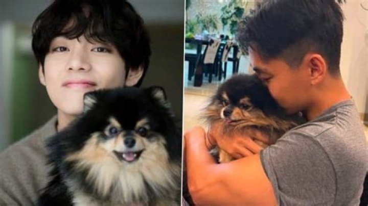 BTS’ Jimin Holds V’s Dog, Tannie’s Paws In His Hands & Fans Can’t Get Over The Cuteness