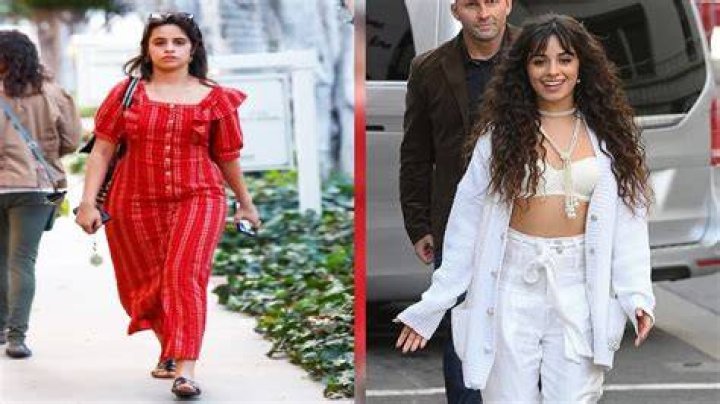 Camila Cabello Declares It’s ‘Summer’ In Brown Bikini Top & Matching Sarong – Photos