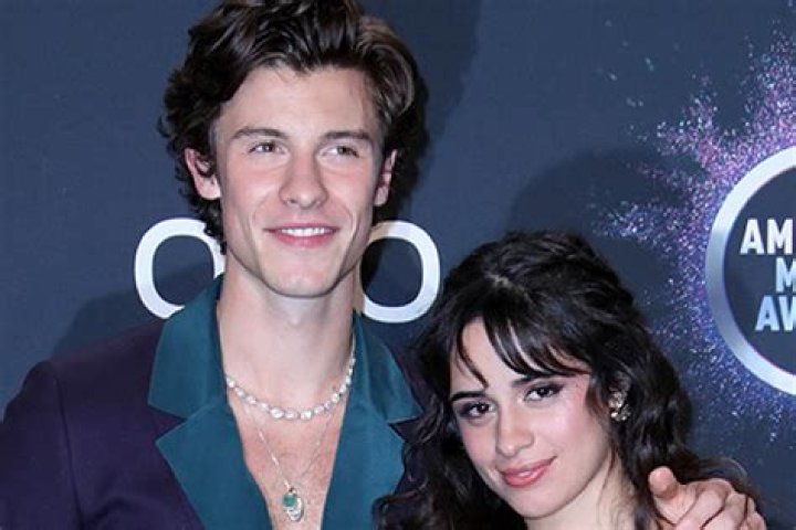 Camila Cabello Rocks Thong Bikini & Sheer Pants While Reuniting With Shawn Mendes — Photos