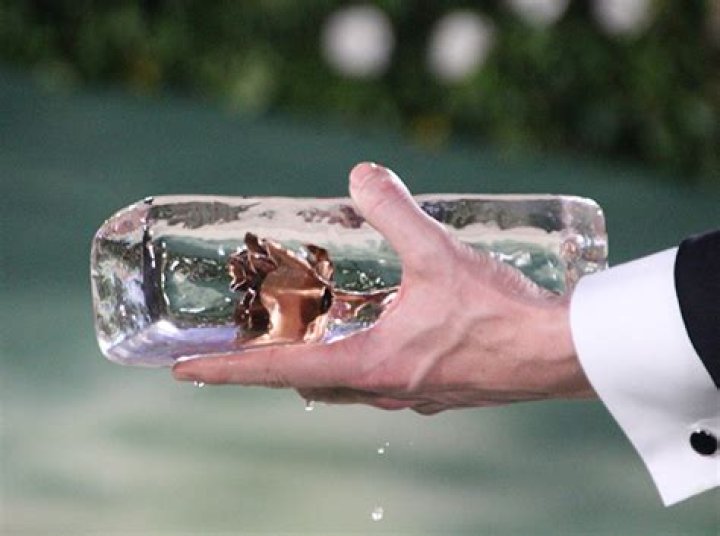 Camila Cabello’s 2024 Met Gala Purse Was a Real Dripping Ice Cube: Photos