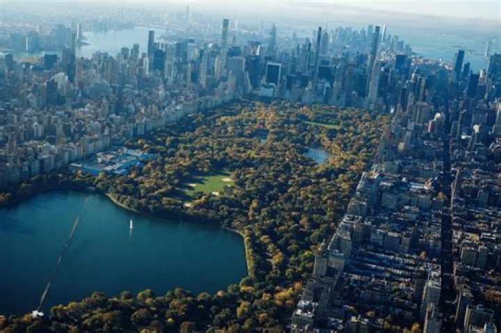 Central Park 5 — Photos