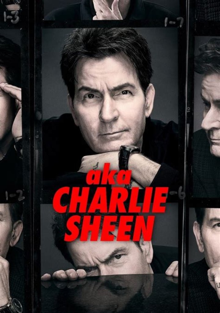 Charlie Sheen: 5 Things To Know About His HIV Status