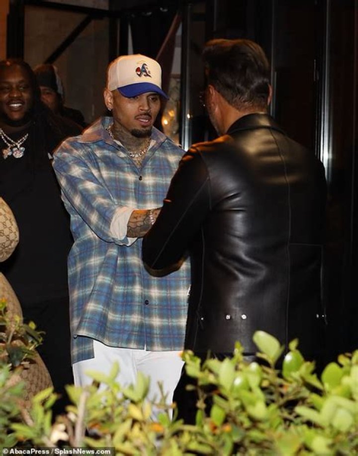 Chris Brown Grateful For Ammika Harris: She’s Been His ‘Rock’ Amid Rape Allegation & Arrest