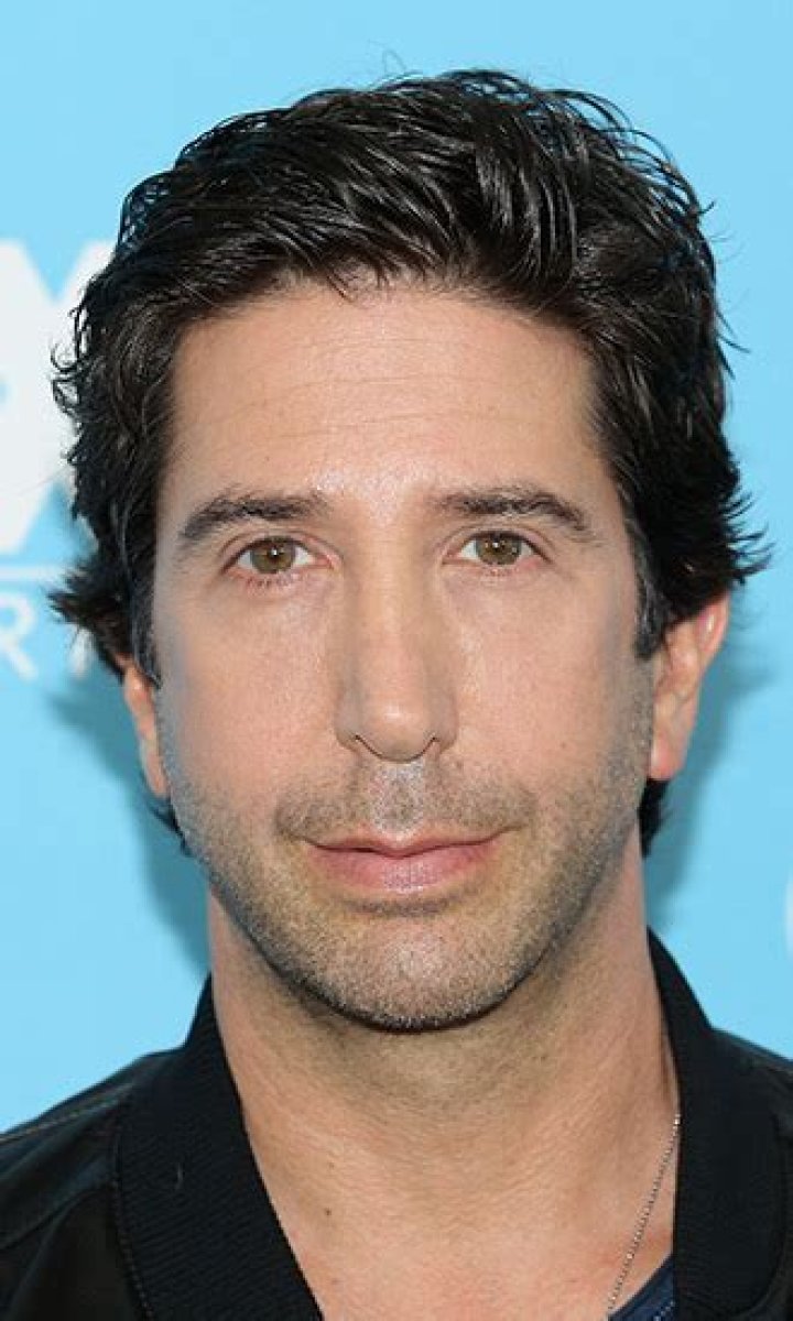 David Schwimmer Celebrity Profile – Hollywood Life
