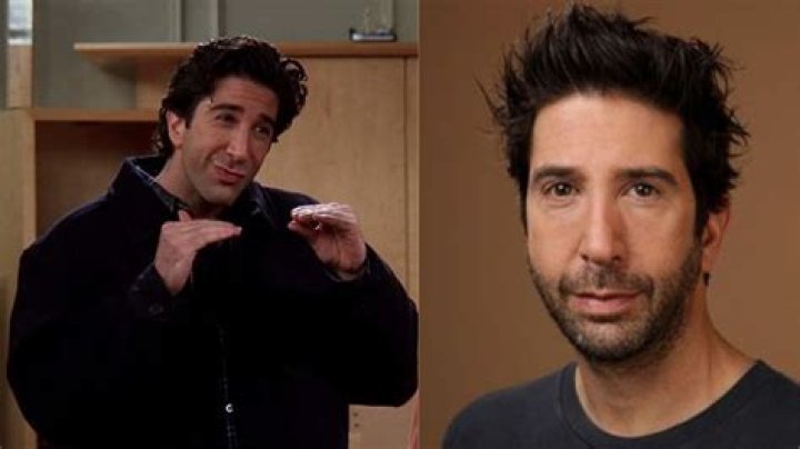 David Schwimmer Faces Heat After Proposing ‘All-Black’ Version Of ‘Friends’: It Was Called ‘Living Single’