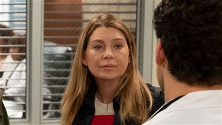 DeLuca Gets Fired — Season 15 Episode 24 Recap – Hollywood Life