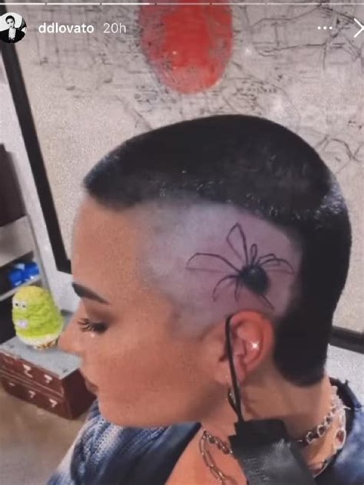 Demi Lovato’s Spider Tattoo On Skull: Video – Hollywood Life