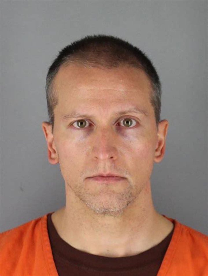 Derek Chauvin New Mugshots After Disgraced Cop Moves Prisons – Hollywood Life