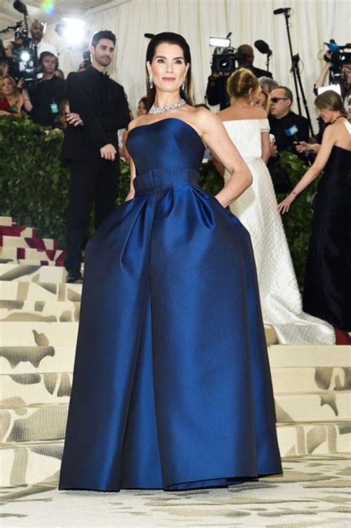 Dresses Of The 2018 Met Gala — Who Was The Best Dressed? – Hollywood Life