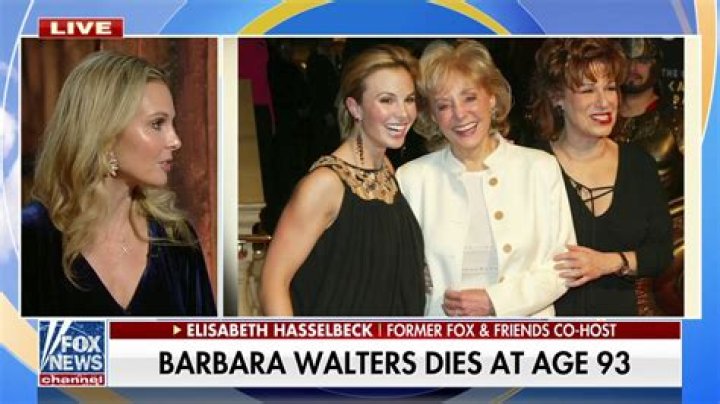 Elisabeth Hasselbeck & Barbara Walters Fight On ‘The View’ — Listen – Hollywood Life