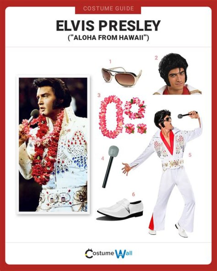Elvis Presley Halloween Costume DIY – Hollywood Life