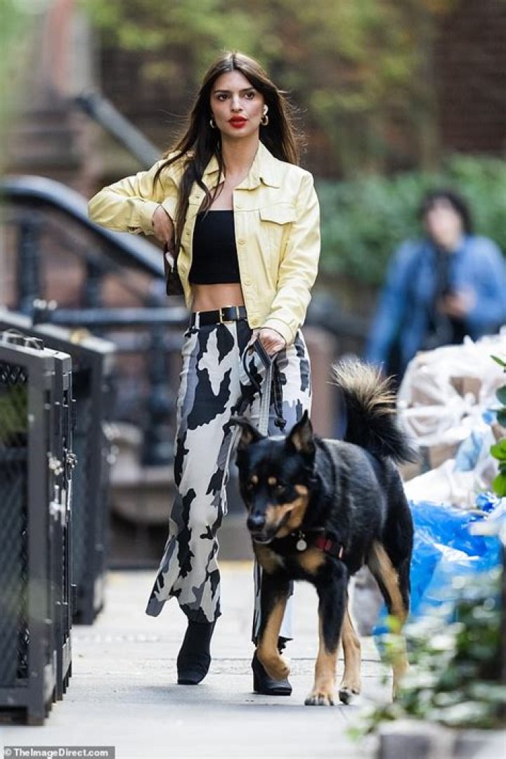 Emily Ratajkowski Reveals Toned Abs In Red Crop Top While Walking Her Dog In NYC