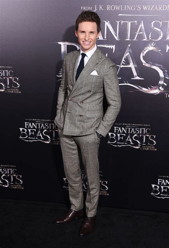 ‘Fantastic Beasts’ World Premiere: See Pics From NYC