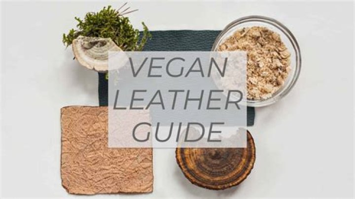 Feel Good About Your Purchase With These Stylish Best Vegan Leather Clothing Options