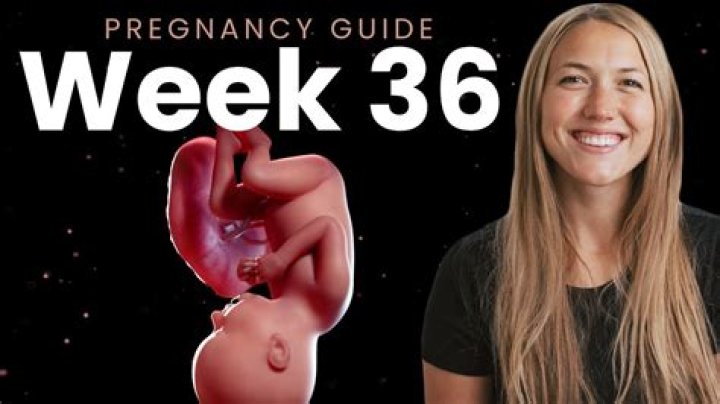 ‘Find Love Live’ Preview: Emily Is 36 Weeks Pregnant & Looking For Love — Watch