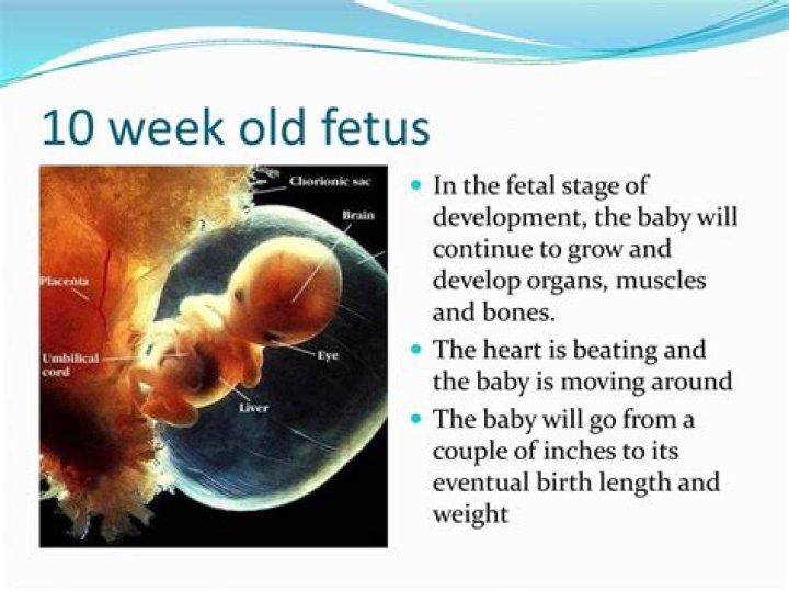 First Pic Of 10-Week-Old Son – Hollywood Life