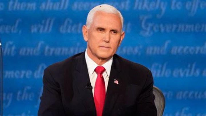 Fly Lands In Mike Pence’s Hair During VP Debate & Twitter Goes Wild – Hollywood Life