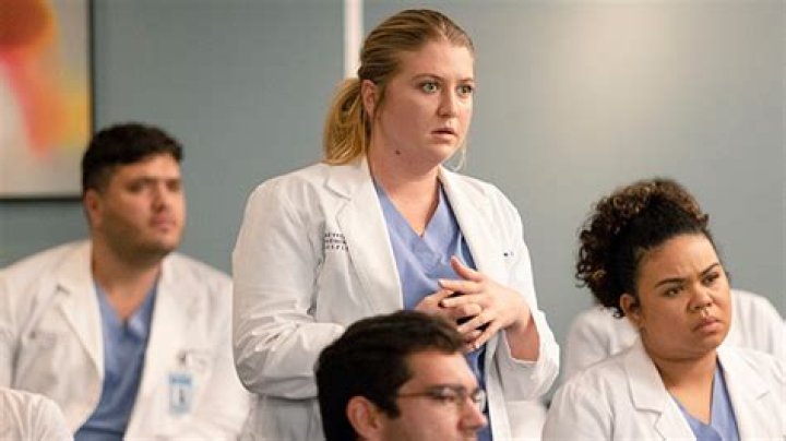 ‘Grey’s Anatomy’ Star On Taryn’s ‘Important Story’ Ahead (Exclusive) – Hollywood Life