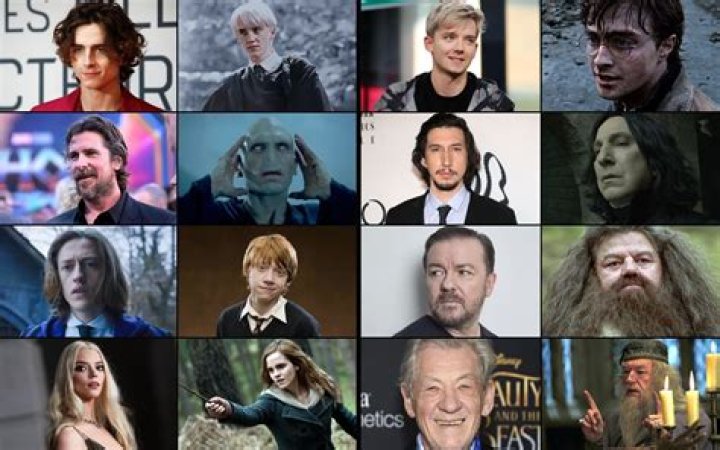 Harry Potter Characters in ‘Fantastic Beasts’ Films – Hollywood Life