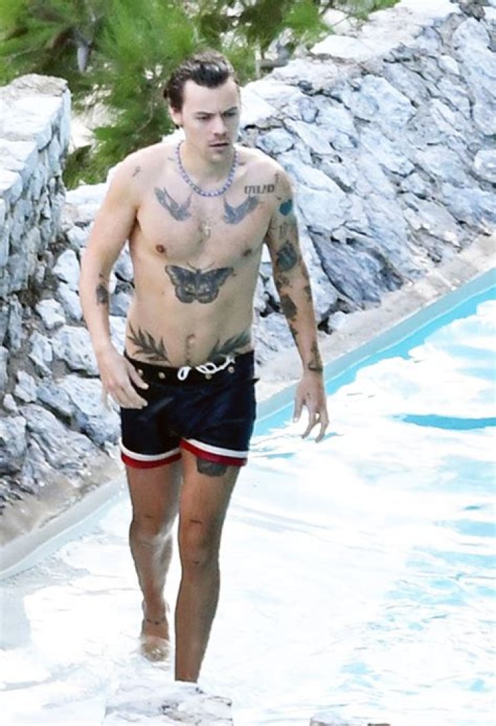 Harry Styles Goes Shirtless During Getaway To The Amalfi Coast: Pic – Hollywood Life