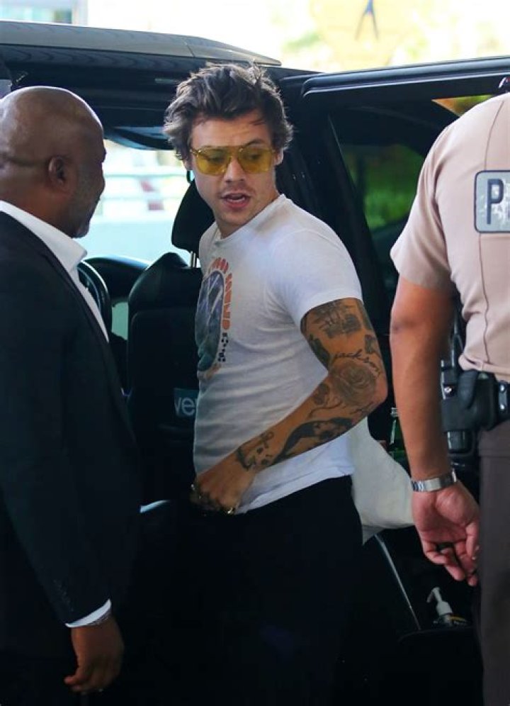 Harry Styles Goes Shirtless While Filming ‘The Policeman’ In Brighton – Hollywood Life