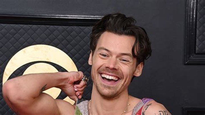 Harry Styles’ Mom Reacts to His Buzzcut Backlash – Hollywood Life