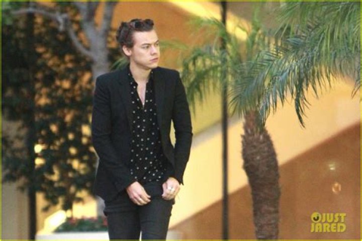 Harry Styles & Nadine Leopold: She Feared He Was Cheating On Her