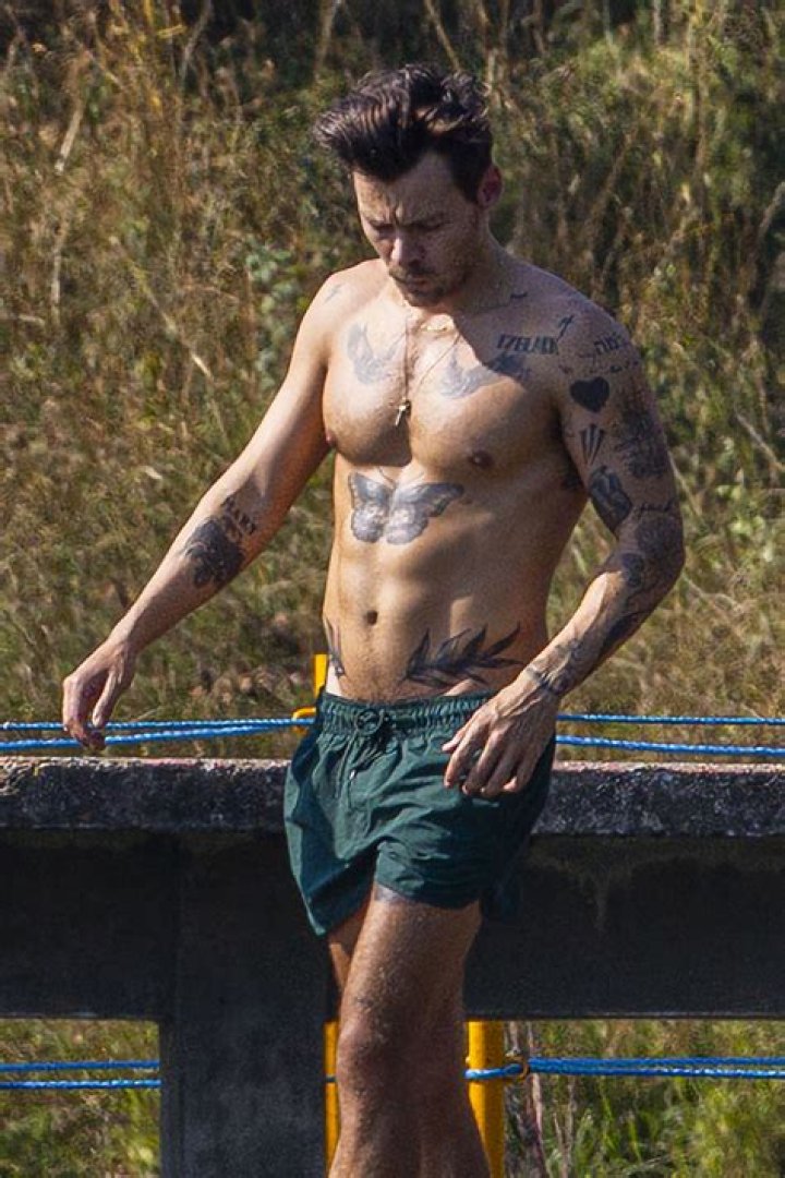 Harry Styles Shirtless For Gucci Campaign: Photos – Hollywood Life