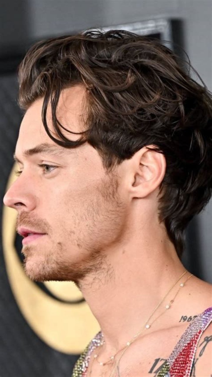 Harry Styles’ Short Hair — See First Pic After He Chopped His Locks – Hollywood Life