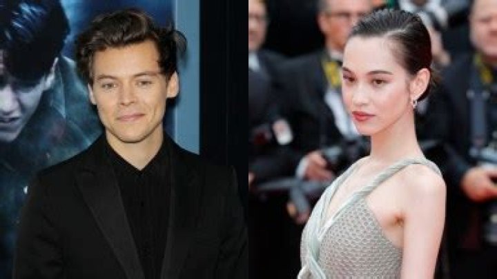 Harry Styles Sparks Romance Rumors With Model Kiko Mizuhara 5 Months After Split From Camille Rowe